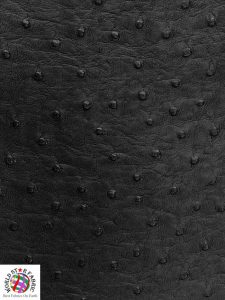 Ostrich Embossed Upholstery Vinyl Fabric Black
